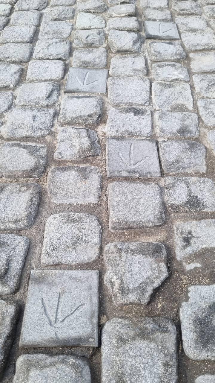 Брусчатка Следы птиц